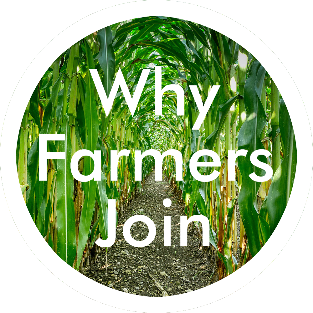 Incentives, grants, efficiency and local support